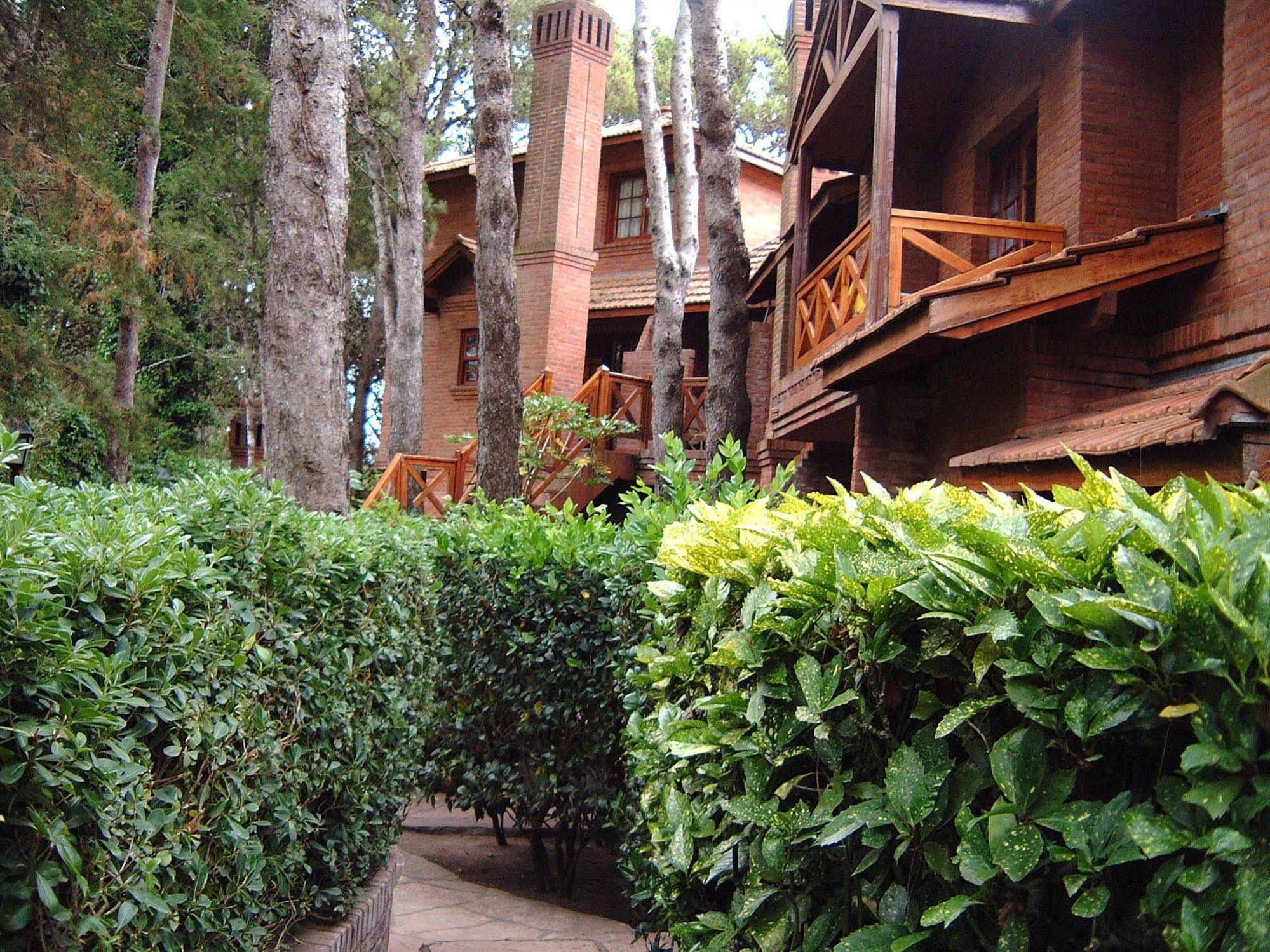 Aparthotel Dorado
