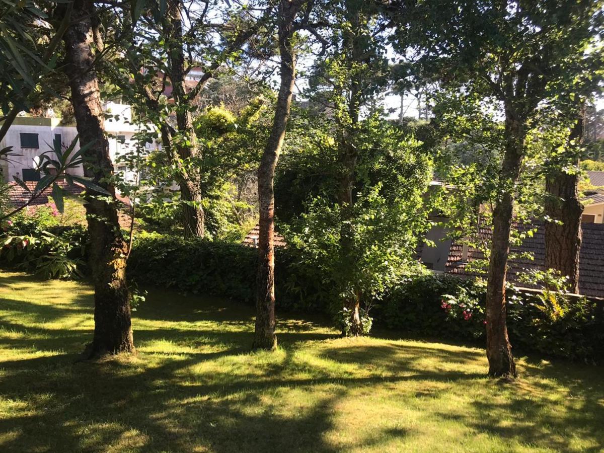 Cruz Del Sur Сasa de vacaciones